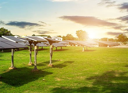 rustx.hitechgroup.in